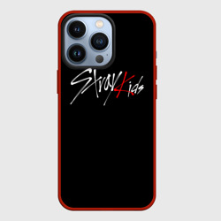 Чехол для iPhone 13 Pro Stray kids