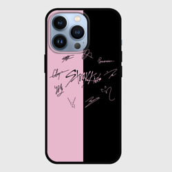 Чехол для iPhone 13 Pro Stray kids