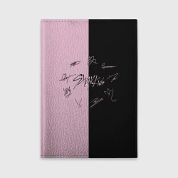Обложка для автодокументов Stray kids