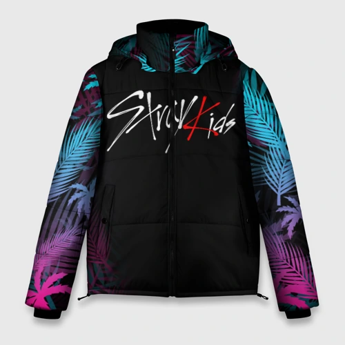 Мужская зимняя куртка 3D Stray kids