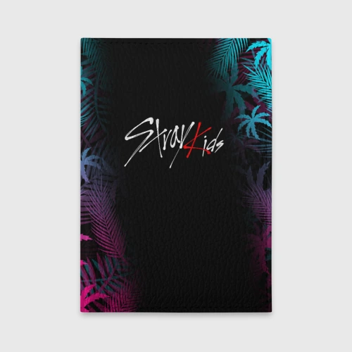 Обложка для автодокументов Stray kids
