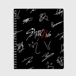 Тетрадь Stray kids