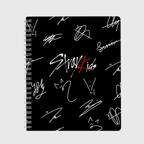 Тетрадь Stray kids