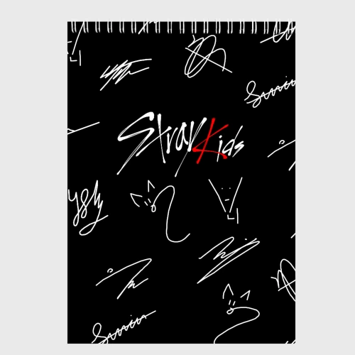 Скетчбук Stray kids