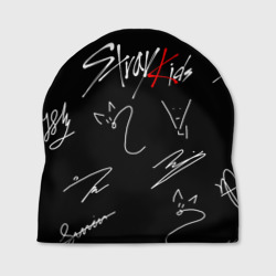 Шапка 3D Stray kids