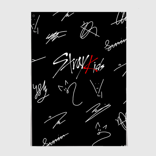 Постер Stray kids