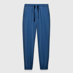 Мужские брюки 3D 19-4052 Classic Blue
