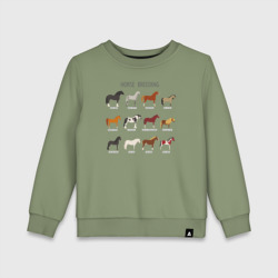 Детский свитшот хлопок HORSE BREEDING