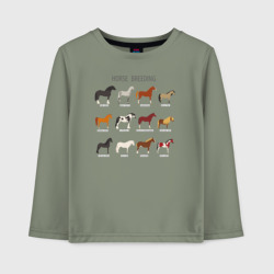Детский лонгслив хлопок HORSE BREEDING