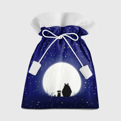 Подарочный 3D мешок Мой сосед Тоторо