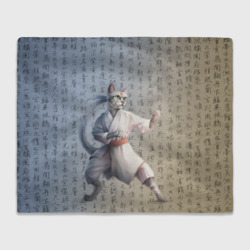 Плед 3D Karate cat