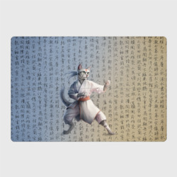 Магнитный плакат 3Х2 Karate cat