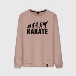 Мужской свитшот хлопок Karate Evolution