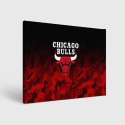 Холст прямоугольный Chicago bulls Чикаго буллс