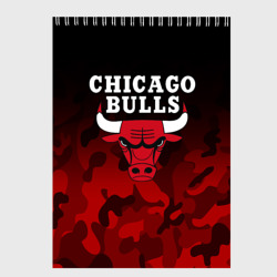 Скетчбук Chicago bulls Чикаго буллс