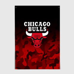Постер Chicago bulls Чикаго буллс