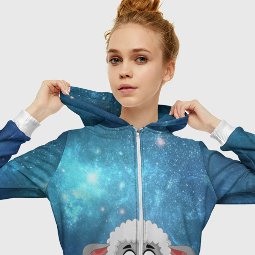 барашек на молнии