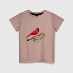 Детская футболка хлопок Красный кардинал
