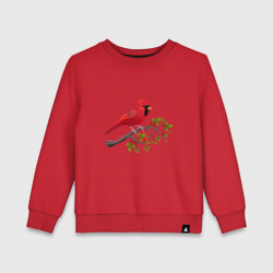 Детский свитшот хлопок Красный кардинал