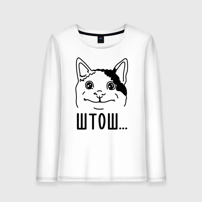 Картинка штош с котом