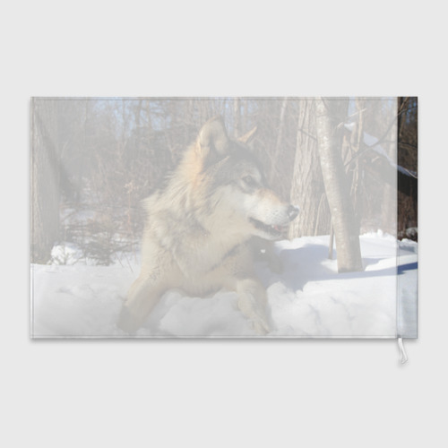 Флаг 3D Волк лежит на снегу - фото 2