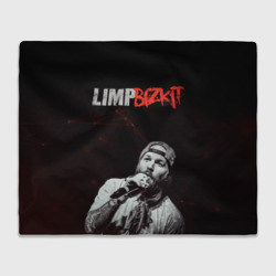 Плед 3D Limp Bizkit