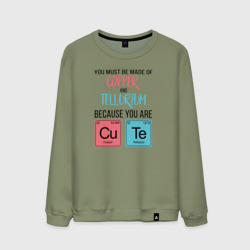 Мужской свитшот хлопок Copper and Tellurium