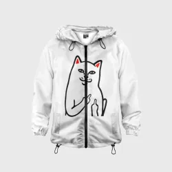 Детская ветровка 3D Meme Cat