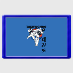 Магнит 45*70 Taekwondo