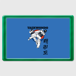 Магнит 45*70 Taekwondo