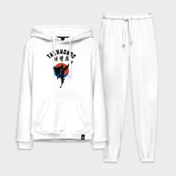 Мужской костюм хлопок с толстовкой Taekwondo