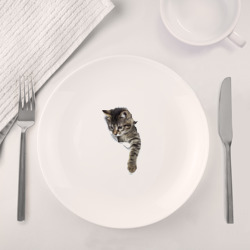 Набор: тарелка + кружка 3д кот - фото 2