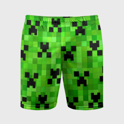 Мужские шорты спортивные Minecraft Майнкрафт