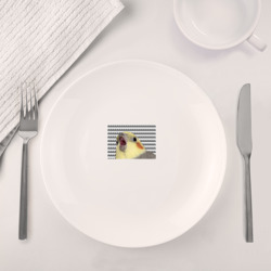 Набор: тарелка + кружка Орущий попугай - фото 2