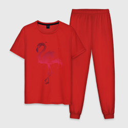 Мужская пижама хлопок Flamingo