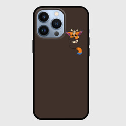 Чехол для iPhone 13 Pro League of Legends