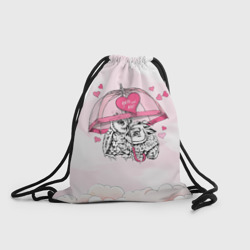 Рюкзак-мешок 3D Влюбленные совушки