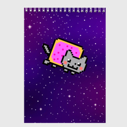 Скетчбук Nyan Cat