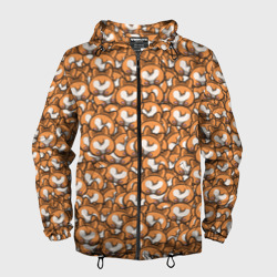 Мужская ветровка 3D Попки Корги
