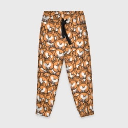 Детские брюки 3D Попки Корги