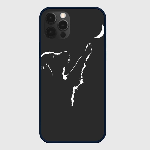 Чехол для iPhone 12 Pro Лунопёс