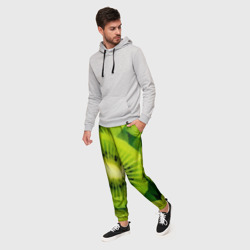 Мужские брюки 3D Зеленый киви - фото 2