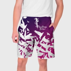 Мужские шорты 3D Three Days Grace