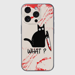 Чехол для iPhone 15 Pro Max силиконовый с защитой камеры What cat