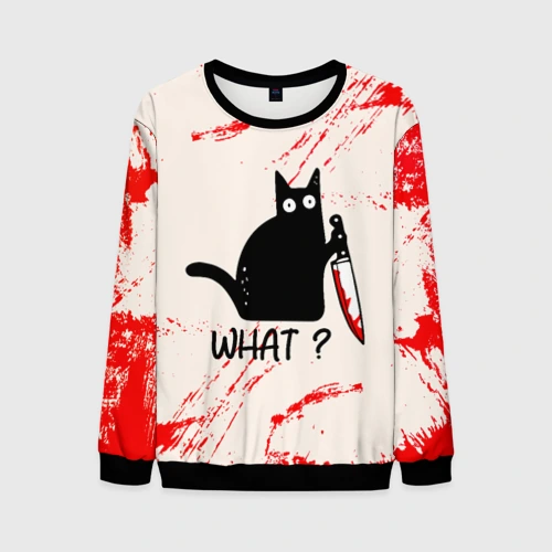 Мужской свитшот 3D What cat