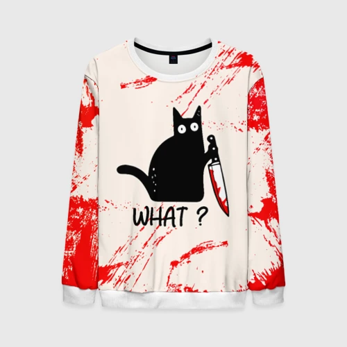 Мужской свитшот 3D What cat