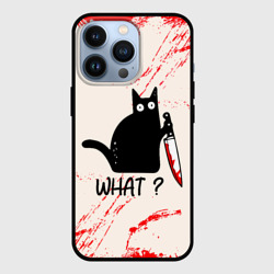 Чехол для iPhone 13 Pro What cat