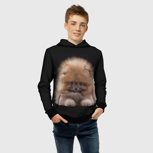 Детская толстовка 3D с принтом Рыжий Шпиц, фото #4