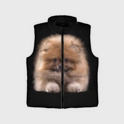 Детский жилет утепленный 3D Рыжий Шпиц