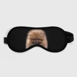 Маска для сна 3D Рыжий Шпиц